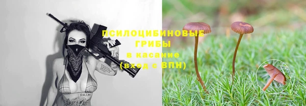 крисы Алзамай