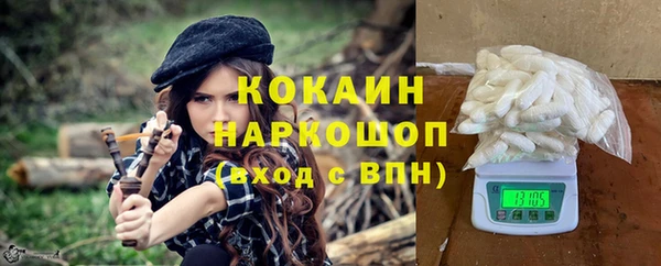 крисы Алзамай