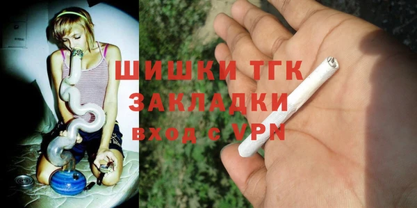 индика Алексеевка