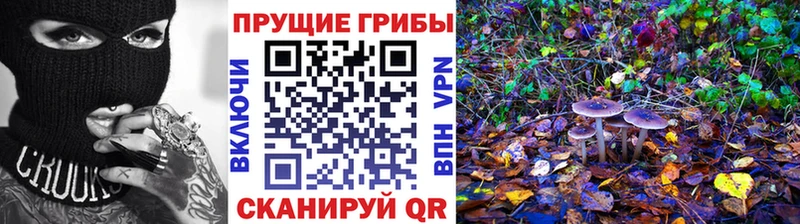 Галлюциногенные грибы прущие грибы  Цоци-Юрт 